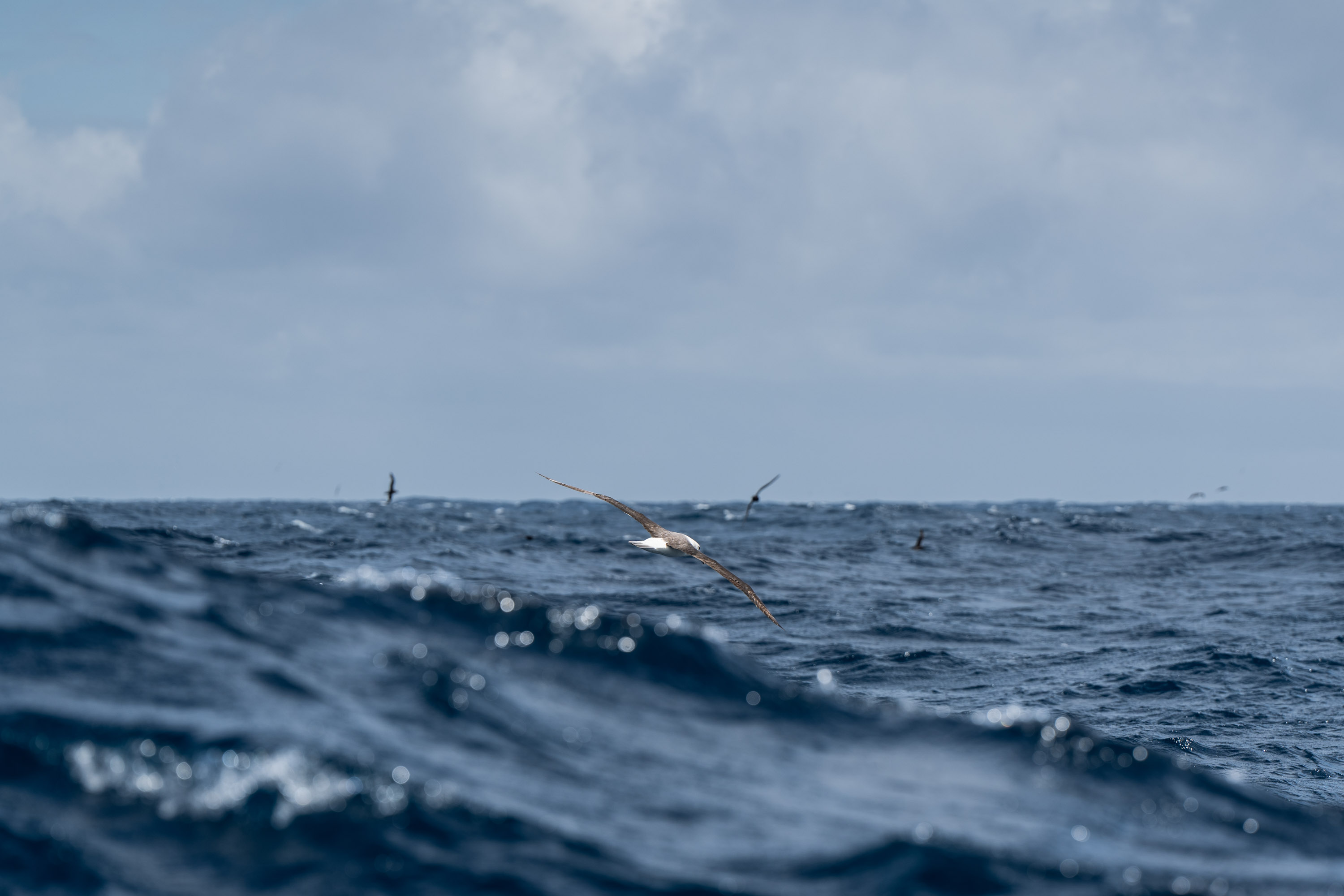 Clipper Round the World Race, frame 06