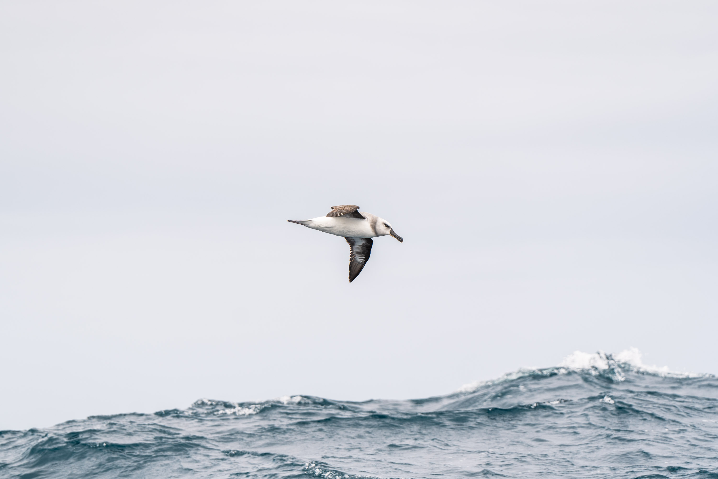 Clipper Round the World Race, frame 07